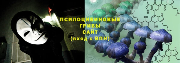 прущие крисы Краснотурьинск