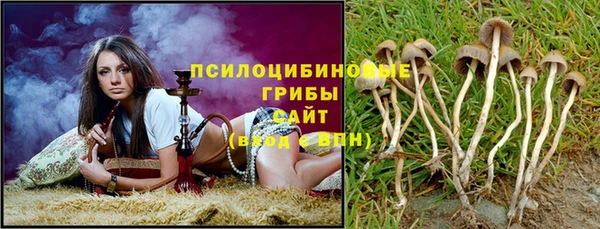 сатива Краснослободск