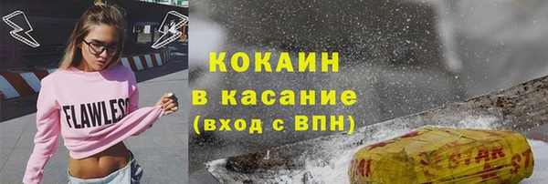 сатива Краснослободск