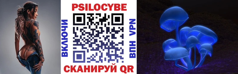 Купить  Выкса  Галлюциногенные грибы Psilocybine cubensis 